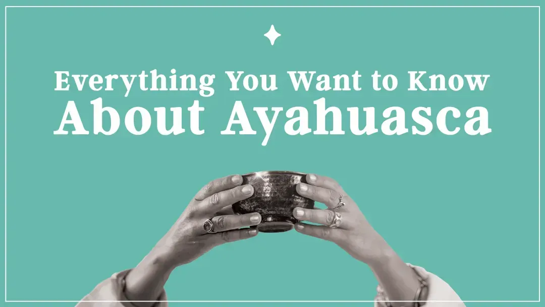 a close up of a butterfly with the words transforming depression with ayahuausaca