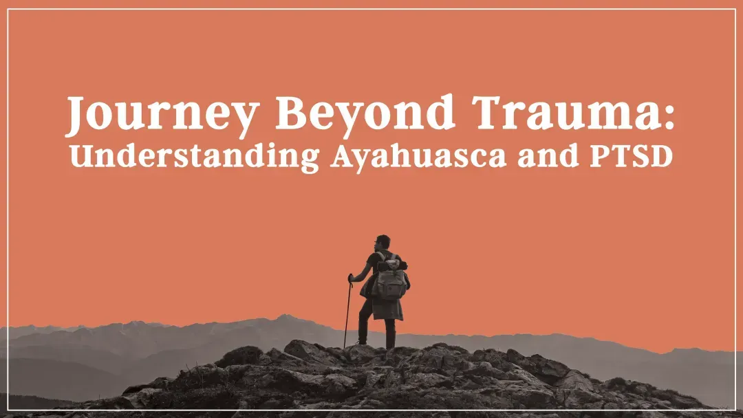 a close up of a butterfly with the words transforming depression with ayahuausaca